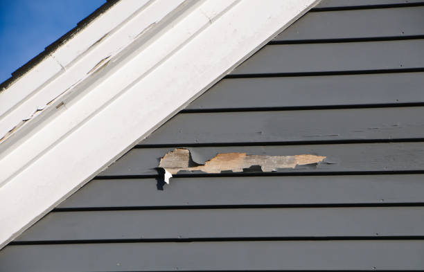 Best Shed Removal  in Blauvelt, NY